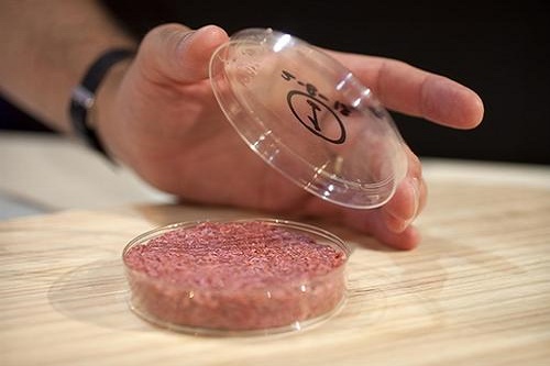 “人造肉”熱潮，未來將替代60%肉制品？