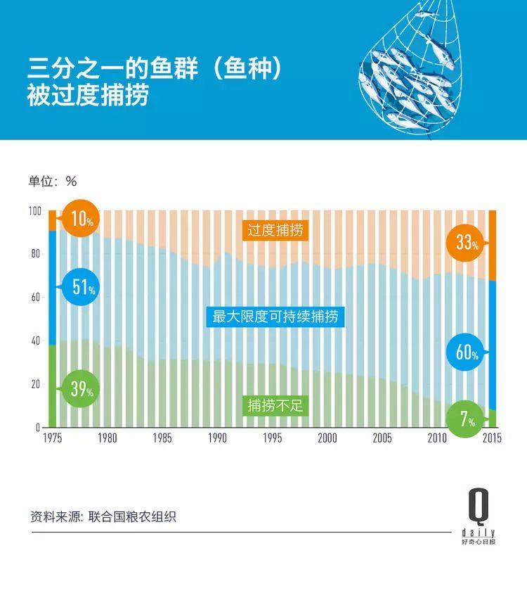 1/3 的魚類正被人過度捕撈，而同時(shí)撈上來的又有 1/3 被丟棄