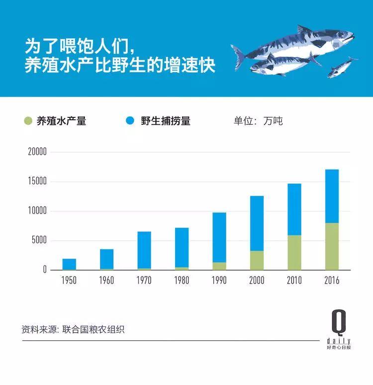 1/3 的魚類正被人過度捕撈，而同時(shí)撈上來的又有 1/3 被丟棄