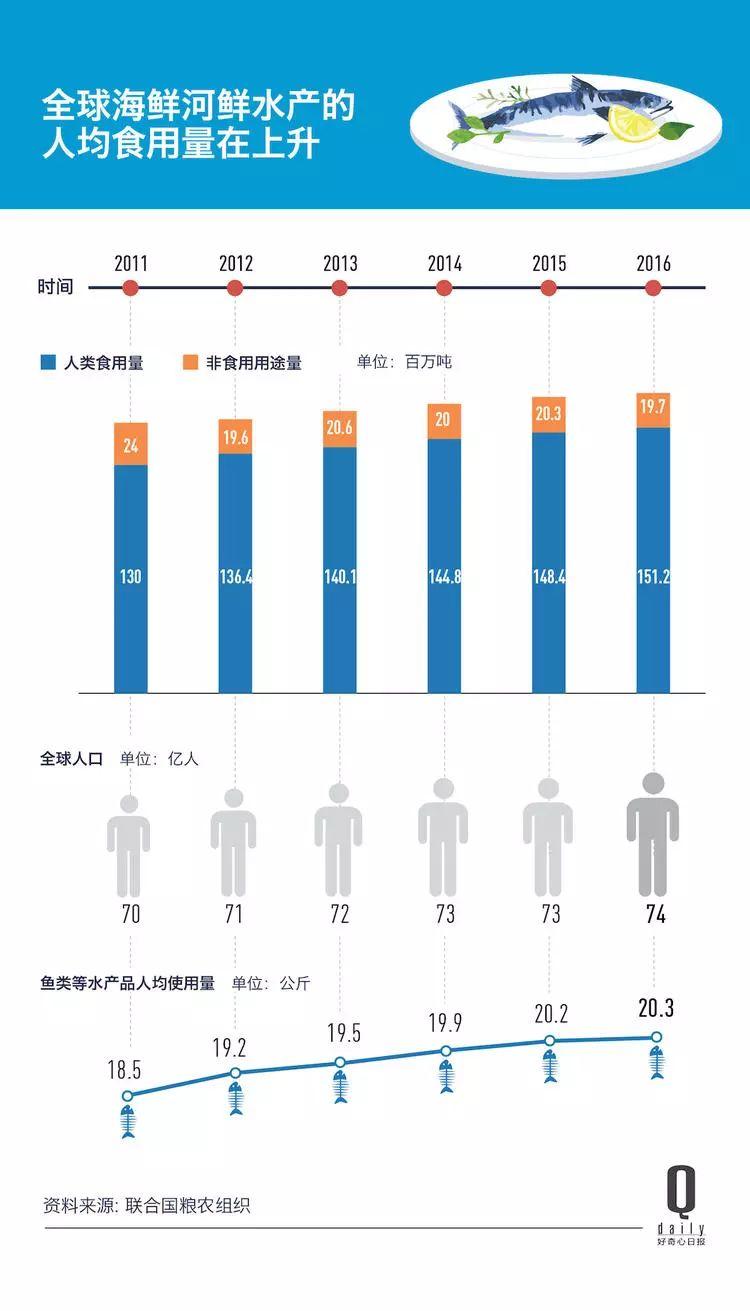 1/3 的魚類正被人過度捕撈，而同時(shí)撈上來的又有 1/3 被丟棄