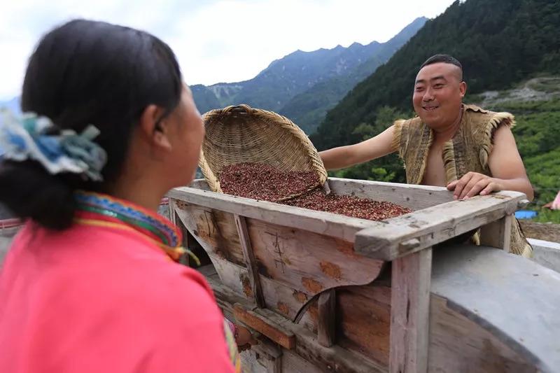 食品安全問題頻發(fā)，這家火鍋餐企憑啥突出重圍？