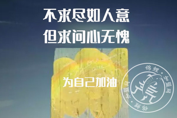 查特熊火鍋食材價(jià)格